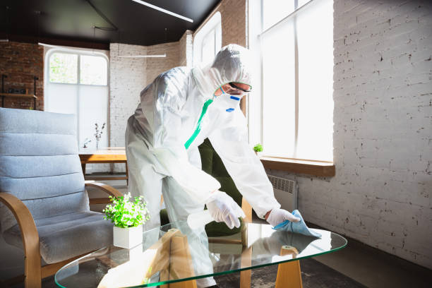 Best Environmental Consulting for Mold Prevention  in Boardman, OR